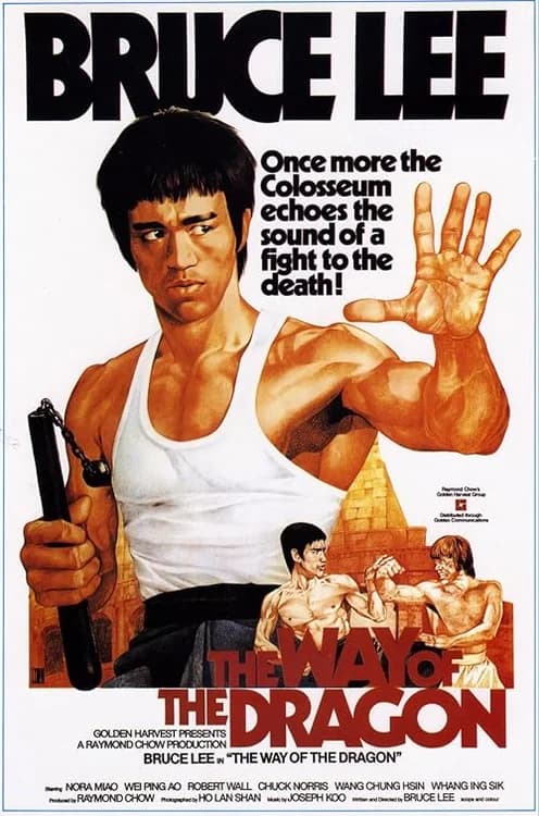 The Way of the Dragon film posteri